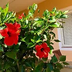 Casa Dolce Hibiscus Lägenhet