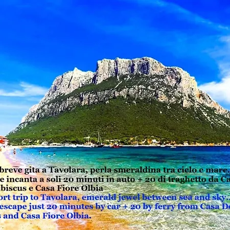 Casa Dolce Hibiscus *