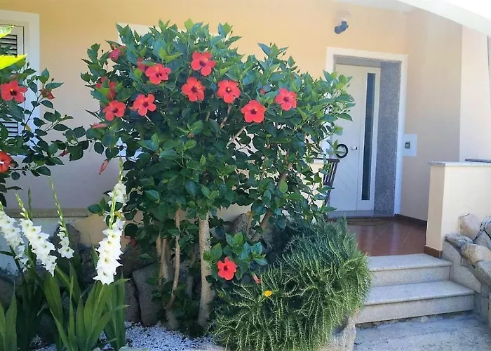 Casa Dolce Hibiscus Olbia