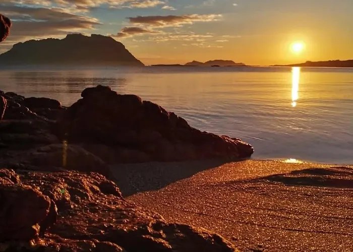 Casa Dolce Hibiscus *