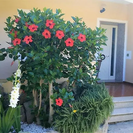 Casa Dolce Hibiscus Olbia