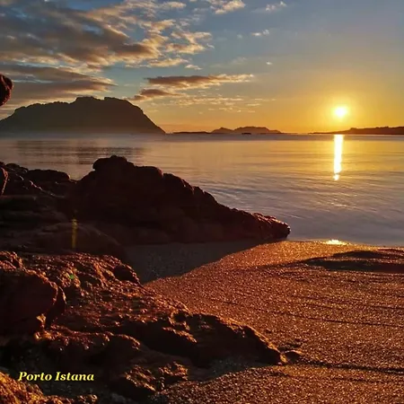 Casa Dolce Hibiscus *