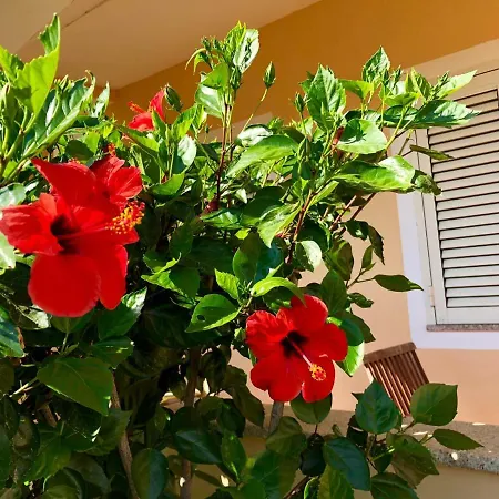 Casa Dolce Hibiscus Apartament