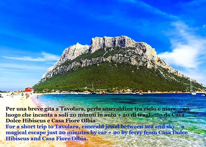 Casa Dolce Hibiscus *