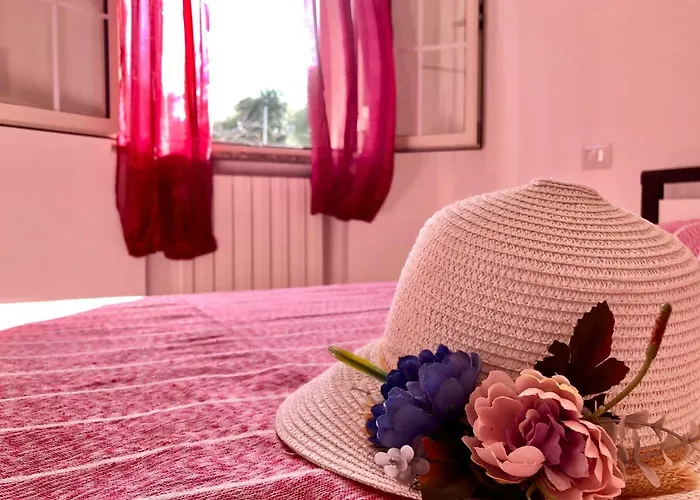 Casa Dolce Hibiscus *