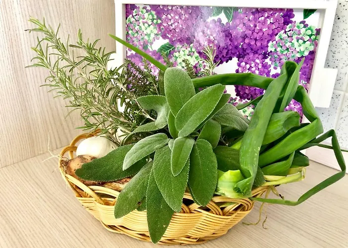 Casa Dolce Hibiscus *