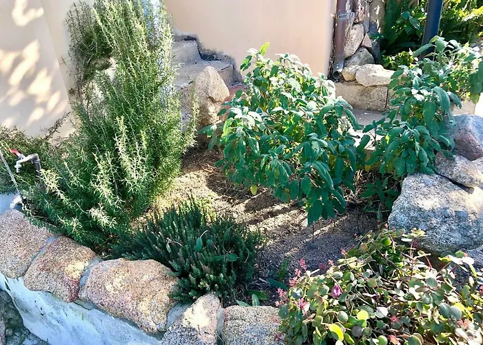 Casa Dolce Hibiscus Olbia