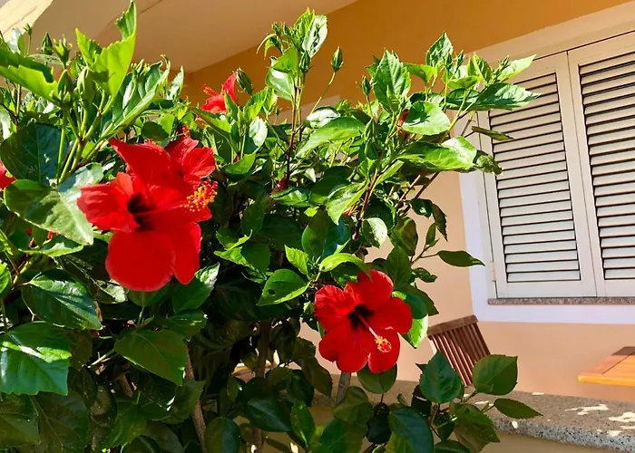 Casa Dolce Hibiscus Appartement